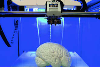 3d printing, 3d character modeling, 3d cartoon, car modeling, 3d printing design