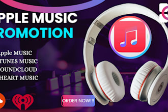 do organic music promotion on apple music USA itunes soundcloud iheartradio