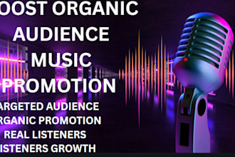 build music ads to promote your spotify music organically