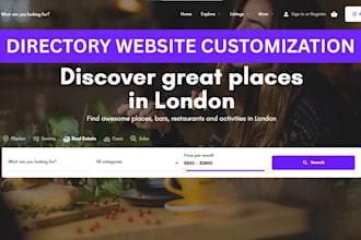 professionally install and set up your powerful hivepress website