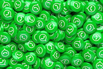 whatsapp green tick, channel creation, whatsapp business green tick verification