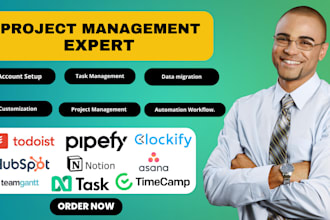 setup hubspot todoist pipefy clockify teamgantt ntask notion timecamp asana