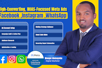 run high converting facebook, instagram and whatsapp ads to grow your business