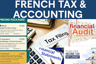 handle french tax return,bookkeeping,financial statement,audit filing professina