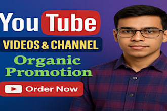 video organic promotion guaranteed views and subscriber growth