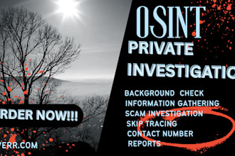 do background check and social media investigation