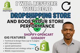 audit fix edit scale up failing dropshipping store on shopify opencart godaddy