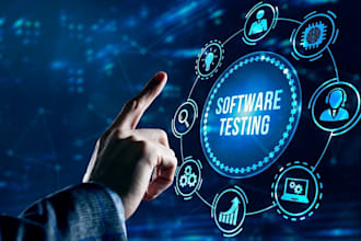 perform manual and automated software testing for your web app
