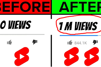 do super fast organic youtube video, channel promotion to boost subs and views
