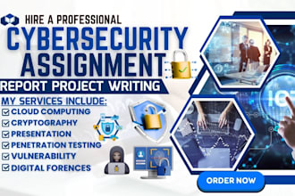 do cybersecurity assignment, vulnerability, report, cryptography, project, ai