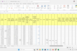 professional data entry expert