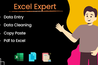 do excel data entry, cleaning, formatting, convert pdf to excel