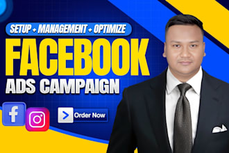 set up facebook and instagram ads for leads and sales