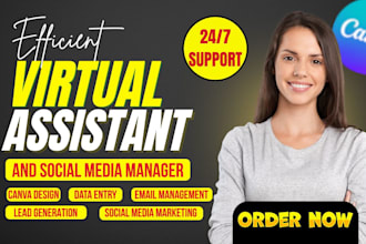 be creative virtual assistant, personal executive va, social media admin, canva
