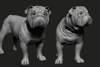 make 3d animal model, fur texture, 3d dragon, 3d pet, articulated model