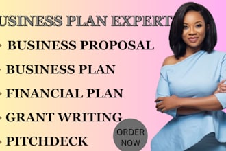 write your business plan, proposal, financial plan, proposal pitchdeck