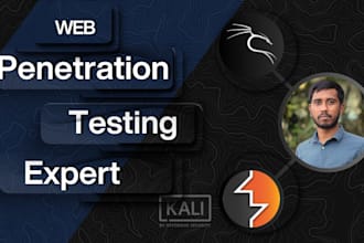 perform penetration testing for your website