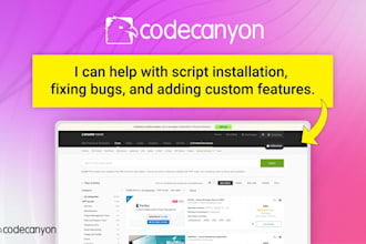 fix codecanyon script issues, add custom features, and provide installation