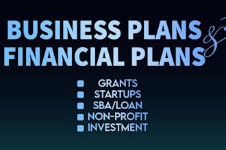 write a professional business plan and do consulting