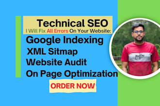 do technical SEO issues and audit your website