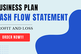 craft a business plan, projections, budgets, cash flow and financial statements