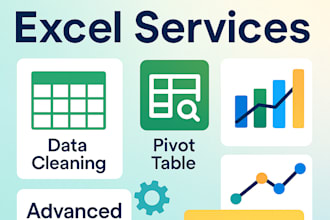 clean, build excel pivot tables and create power bi reports