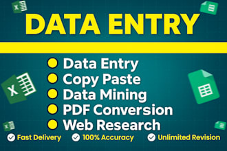 do excel data entry, copy paste, convert PDF, web research, typing, data entry