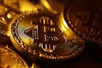develop a perfect working bitcoin bot for you
