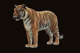 do 3d animal model, skull, pet, creature, xgen hair, realistic fur, bird