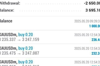 develop high profit forex trading bot for mt4 or mt5 with custom strategies