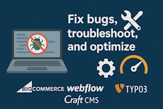 fix bugs, troubleshoot, and optimize bigcommerce, webflow, typo3, craft cms