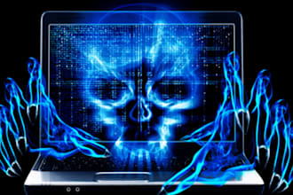 do digital forensics, data recovery, and cyber crime investigations