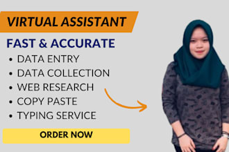 do any virtual assistant, data entry and web research job