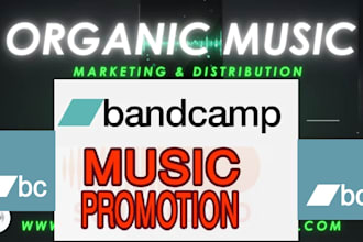 do organic bandcamp music promotion with targeted audience