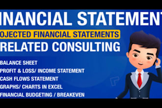 do financial analysis reports, projections, profit loss, and accounting