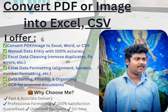 convert PDF or image to excel, CSV or word and data cleaning, entry, formatting