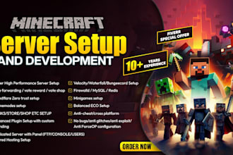 create a professional minecraft server for you