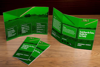 design creative professional befold or trifold brochure