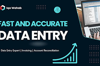 do fast accurate data entry and excel cleanup