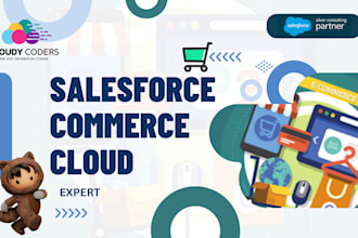 be your salesforce commerce cloud expert