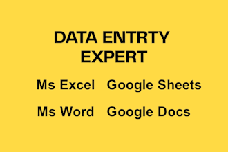 do fast data entry excel, spread sheets and google docs work