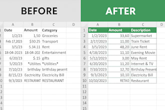 clean, format and  organize excel data for accuracy and speed