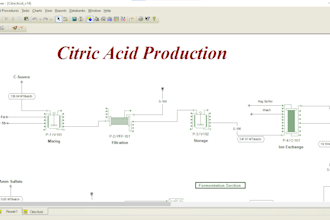 do process simulation in superpro designer for chemical engineering and energy