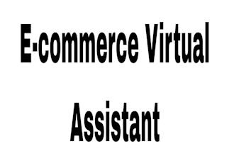be your ecommerce virtual assistant