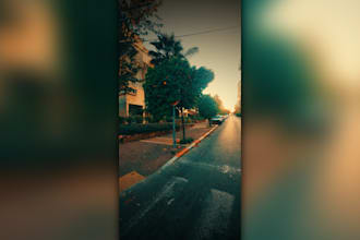 color grade up to 5 photos