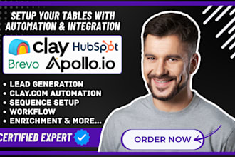 setup clay com hubspot crm apollo io sales automation workflow setup clay expert