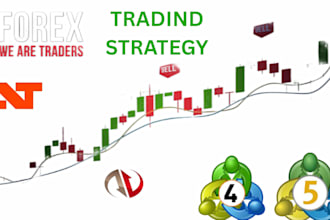 be your expert developer for mt5, tradingview, quantower, ctrader, ninjatrader 8