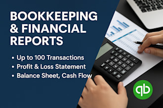 do professional bookkeeping accounting in excel and erp