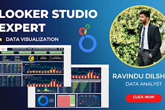 create insightful google looker studio dashboard and reports