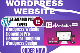 redesign wordpress business website, elementor pro wordpress website development